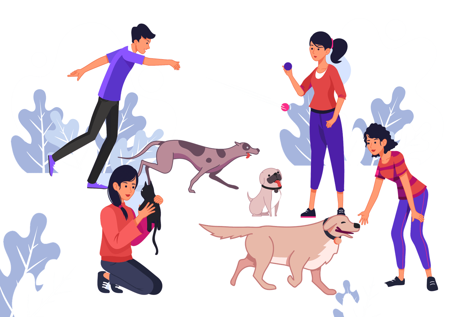 Criadero De Perros Familiar