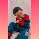 Clientes Mascotas Medellin