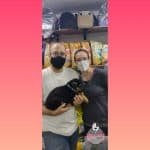 Criadero De Perros en Medellín