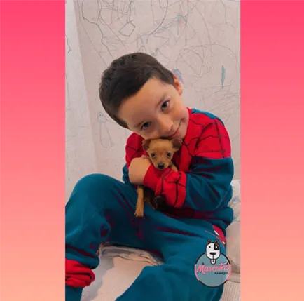 Criadero de perros en Medellin Clientes 2 Mascotas Medellín Venta de perros