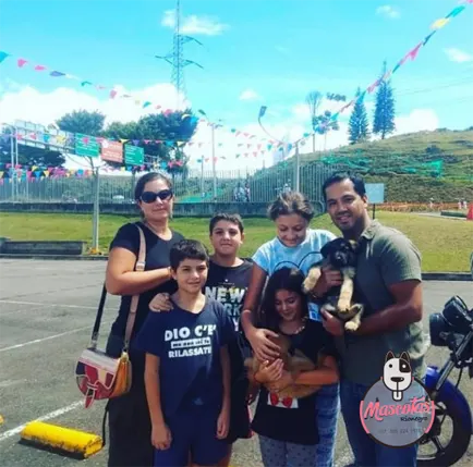 Criadero de perros en Medellin Clientes Mascotas Medellín Venta de perros