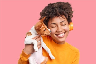 Criadero de perros en Medellin Razas Miniatura Mascotas medellin venta de perros