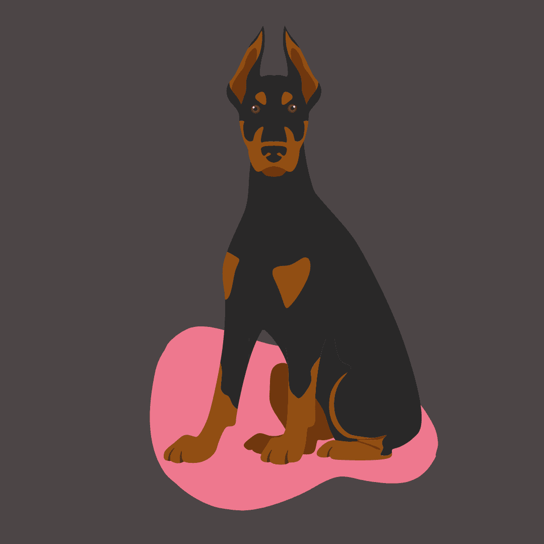 Doberman