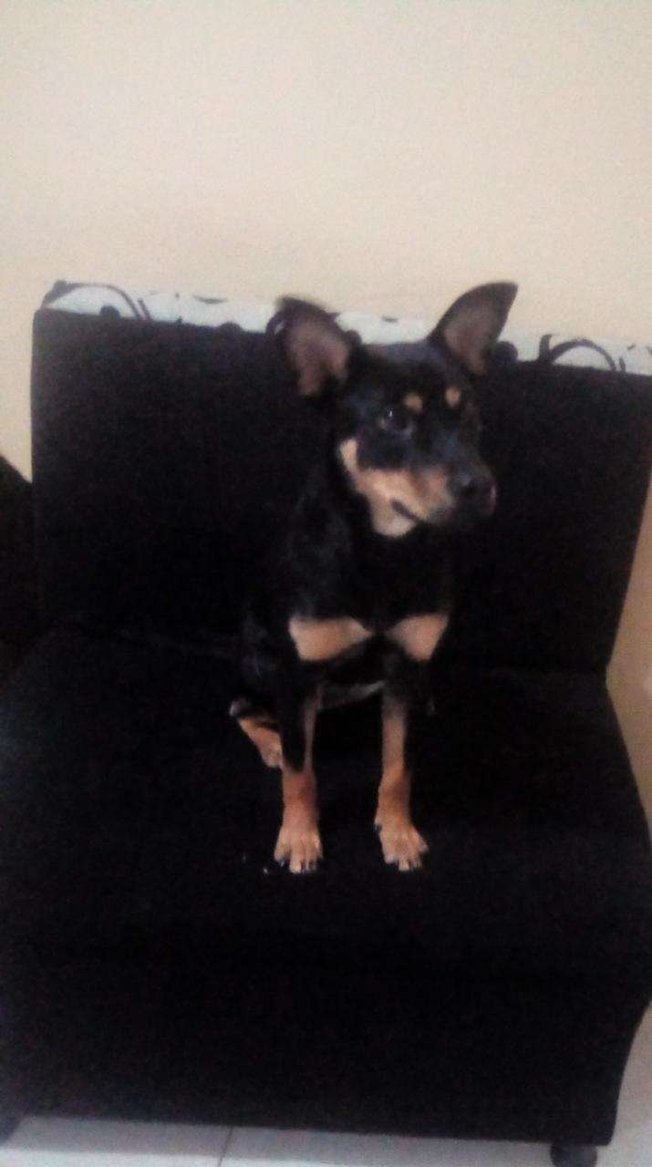 Zafira 2 Zafira - Image 3