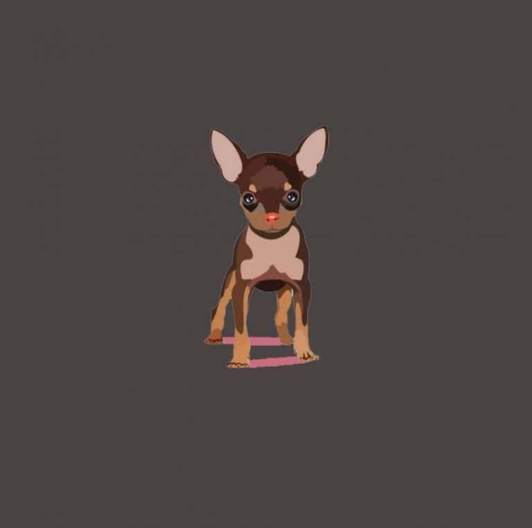 Pincher Miniatura mascotas medellin