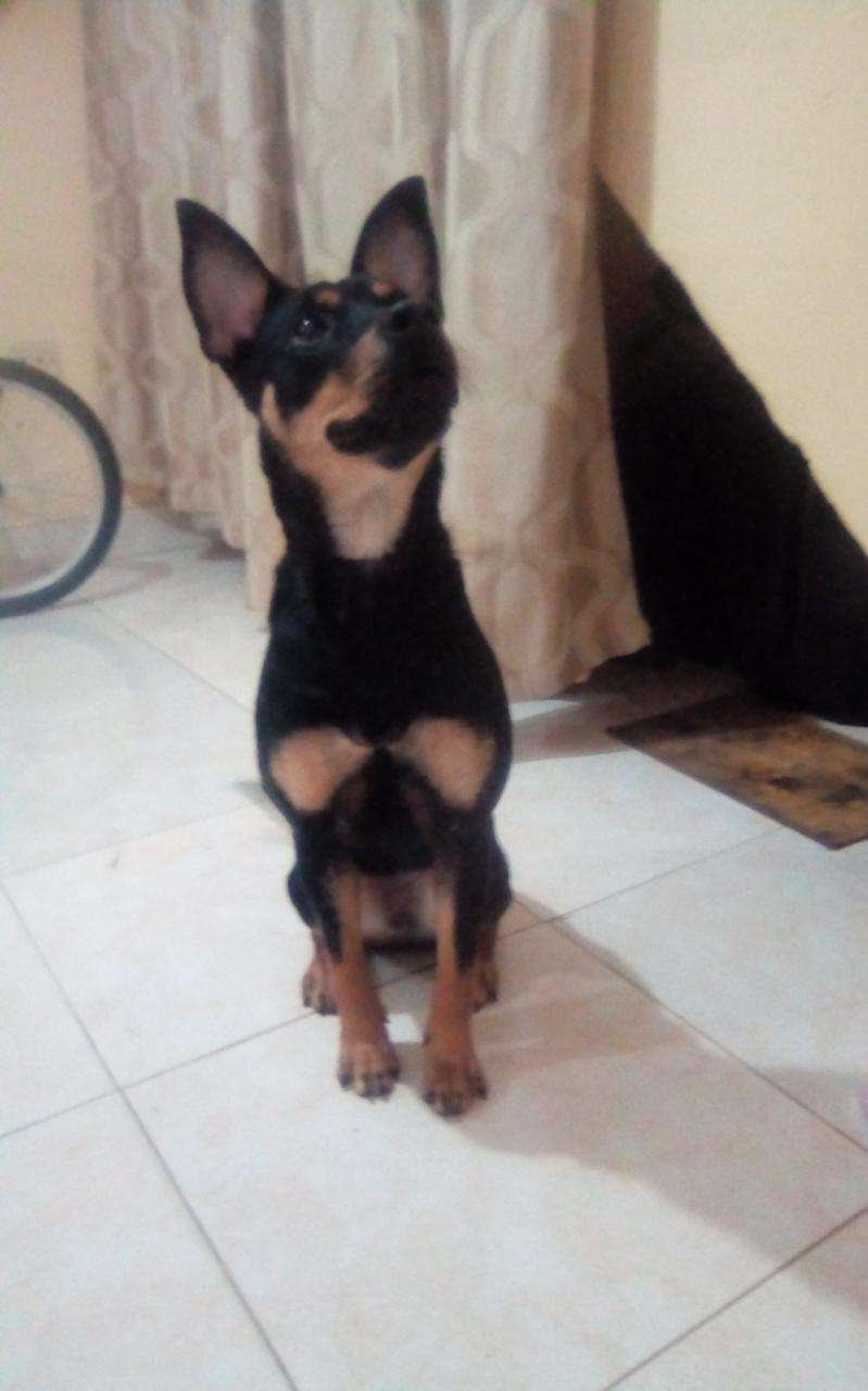 Zafira 4 Zafira - Image 5