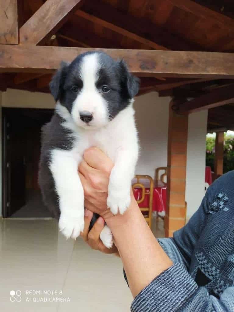 07a86885 552c 4520 a54a d67b93276e29