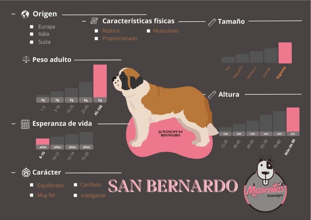 Ficha San Bernardo Mascotas Medellin