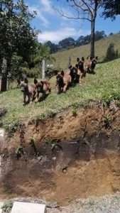 Criadero de Perros Pastor Belga Precio