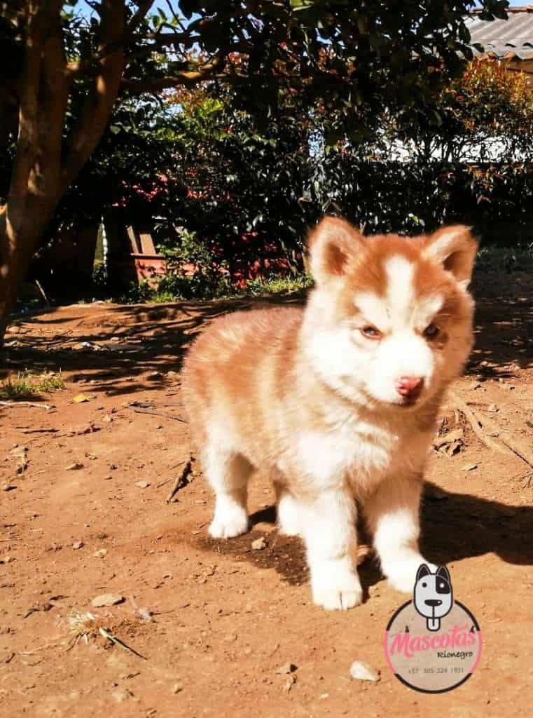 WhatsApp Image 2019 07 23 at 4.13.46 PM1