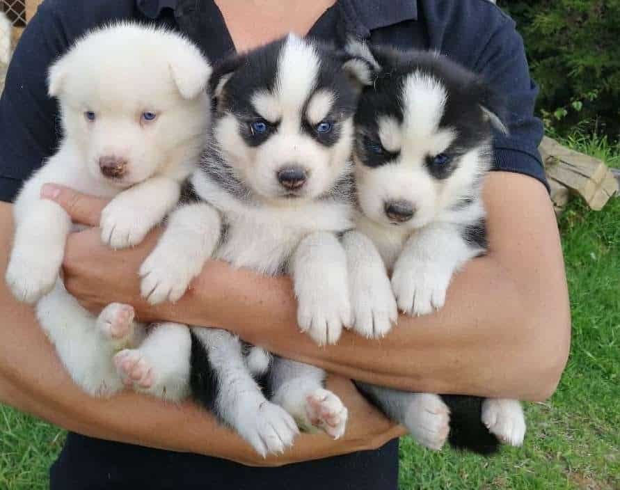 WhatsApp Image 2019 08 30 at 12.07.44 PM