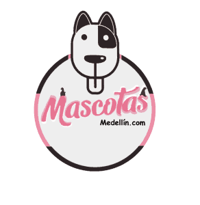 Mascotas Medellín