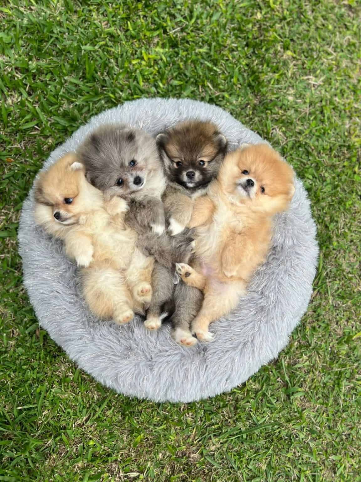 e378cdde bf4e 4bbf ba79 780bbb48f048 2