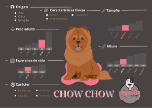 Ficha criadero chow chow
