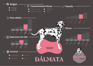 criadero dalmata