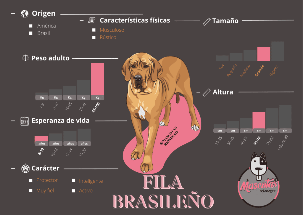 criadero fila brasileirlo