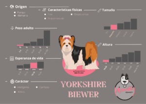 Ficha Criadero Pastor Ovejero Australiano Mascotas Medellin